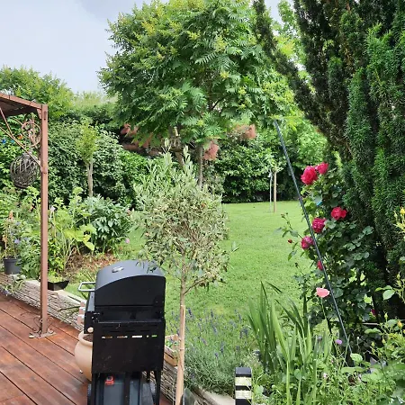 Jo 2024 Maison Proche Disneyland, Des Epreuves De Canoe Et Aviron Et De Paris